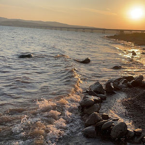 Meet your Posher, Mya